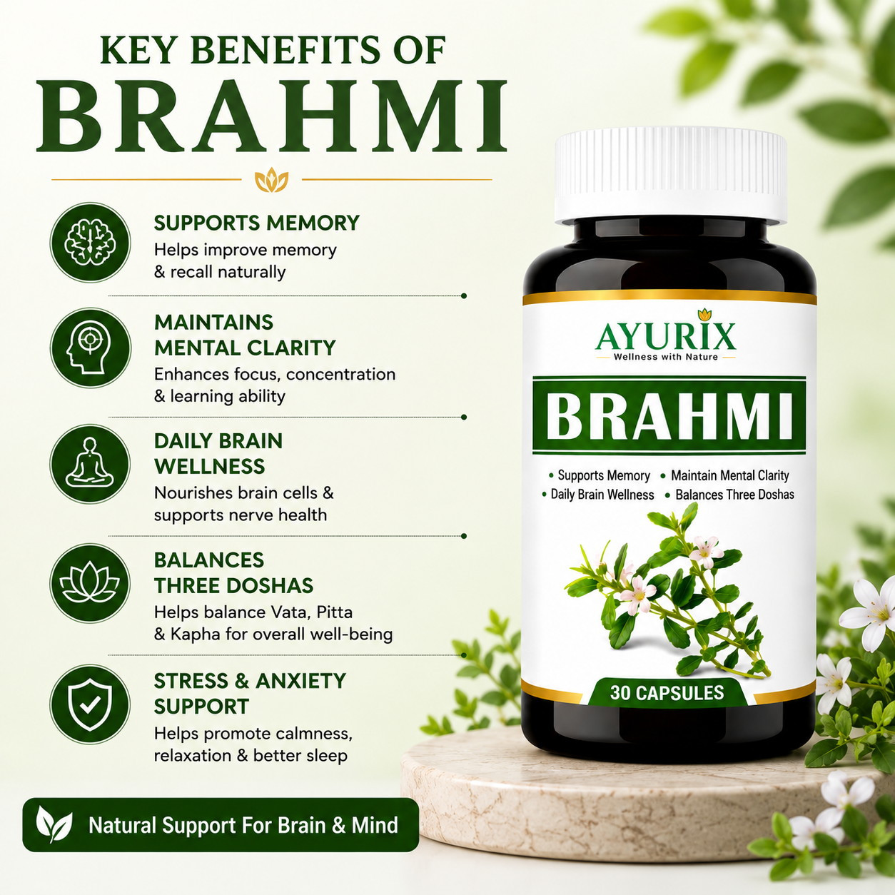 Memory, Focus & Brain Support