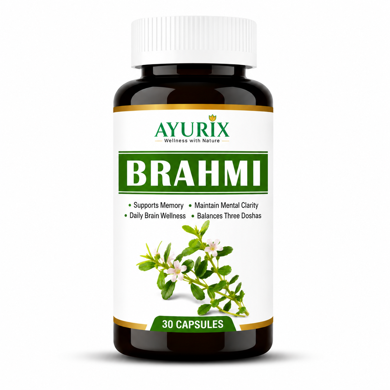Memory, Focus & Brain Support